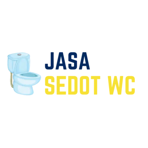 Sedot WC Mampet  di Langkapura